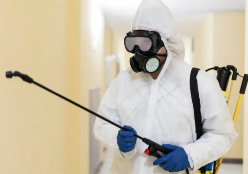 Termite Pest Control Price in Mumbai – Understanding Value Beyond the Cost