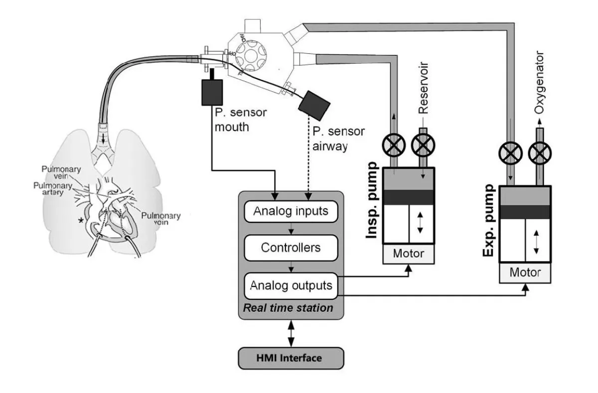 Fighting Against with COVID-19, WECON HMI and PLC for