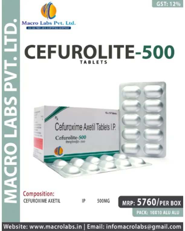 Pharma Franchise Provider in Punjab Choosing a Partner That Supports Growth