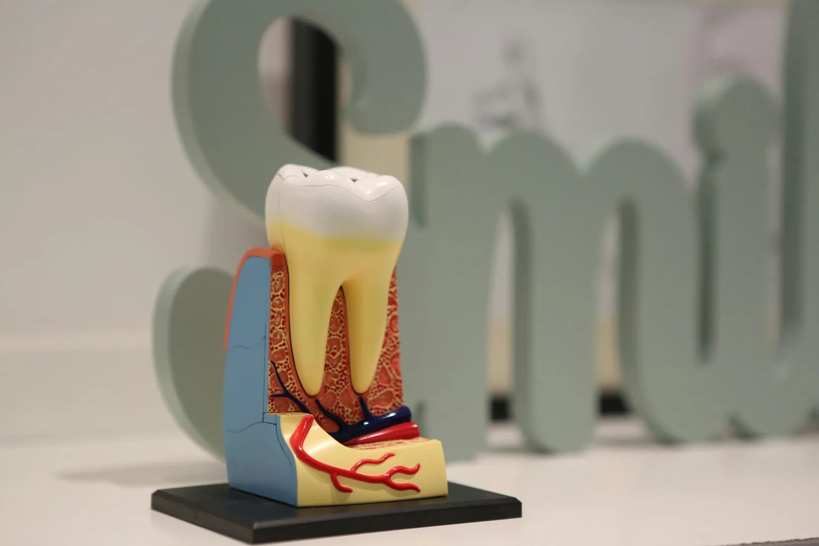 Affordable Root Canal Near Me In Charni Road Mumbai