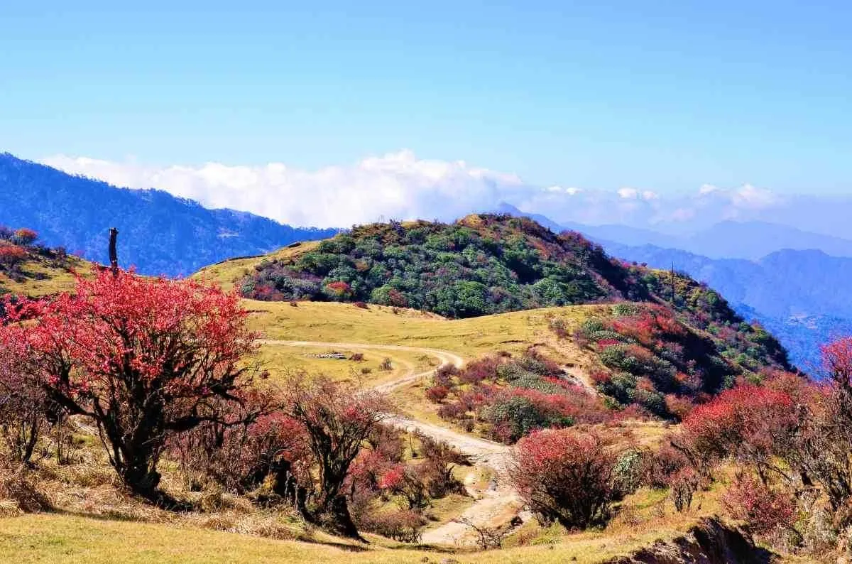Places to Visit in Darjeeling and Gangtok
Singalila National Park
Singalila National Park, Darjeel...