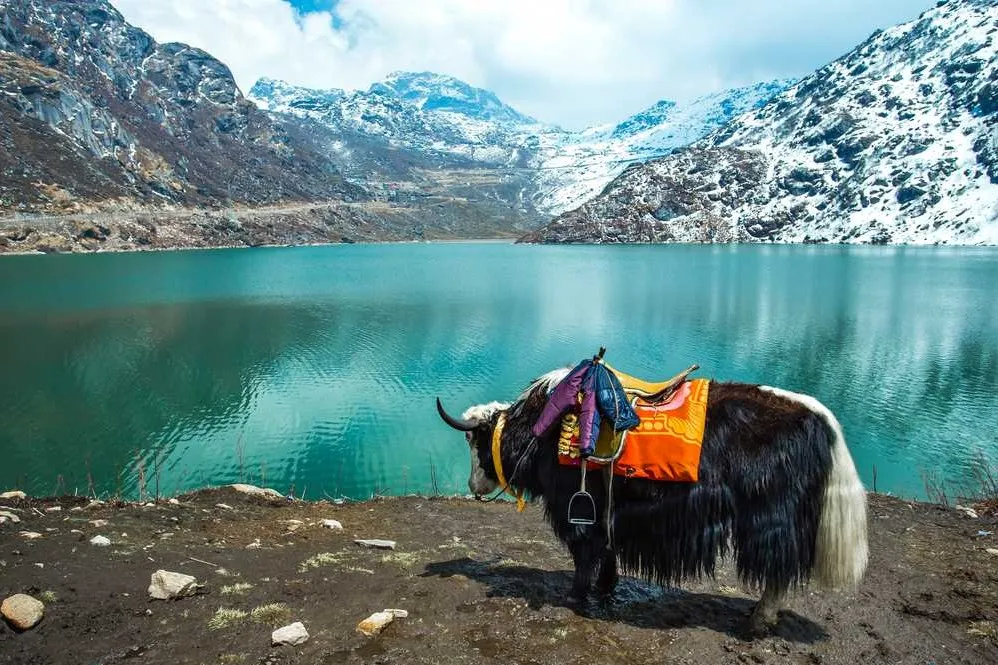 Places to Visit in Darjeeling and Gangtok
Tashi View Point
Tashi View Point, Gangtok Overview
Sit...