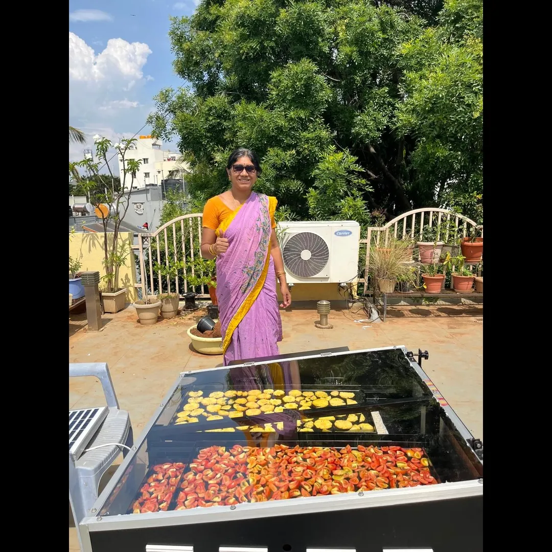 Solar Dryer In Haryana