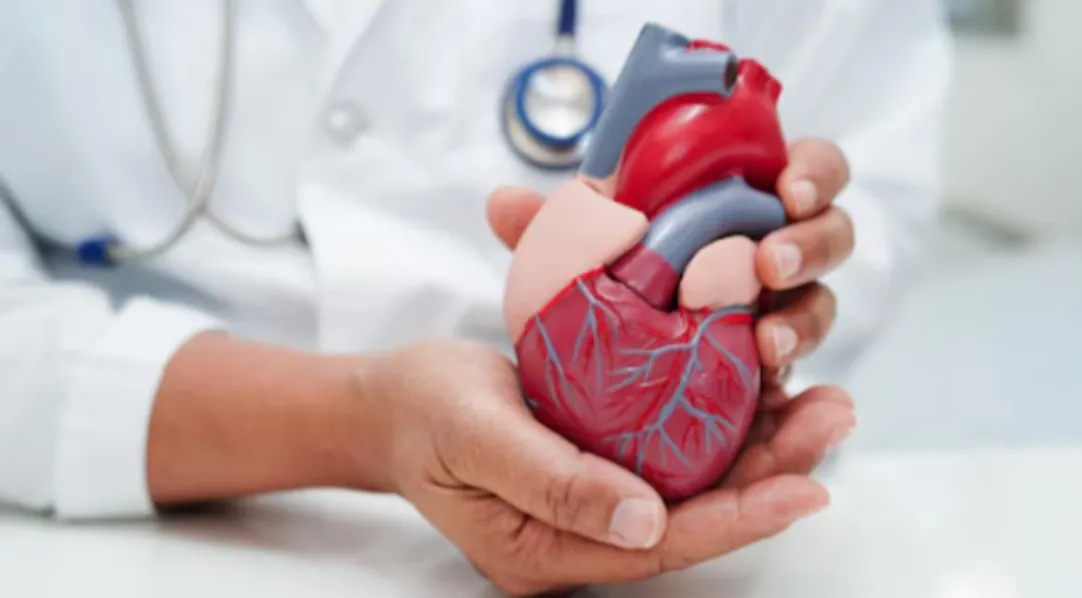 Cardiologist in Pimpri-Chinchwad for Early Heart Risk Detection and Care