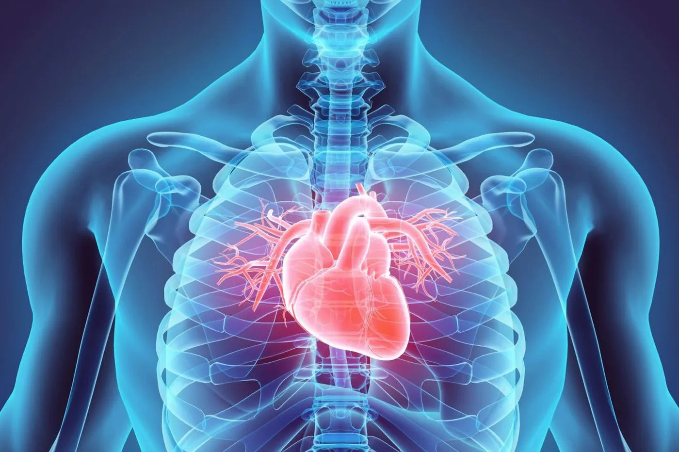 Platinum Hospital is a popular heart hospital in Chakan which provides advanced and accurate angiogr...