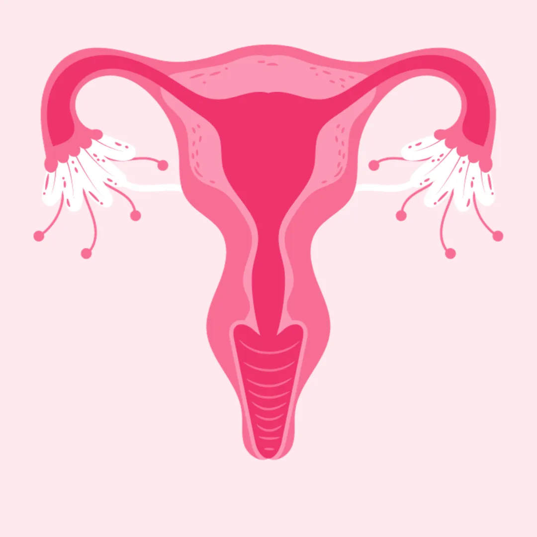 Platinum Hospital is a trusted gynecology and women’s care hospital near Kothrud, Pune, offering adv...