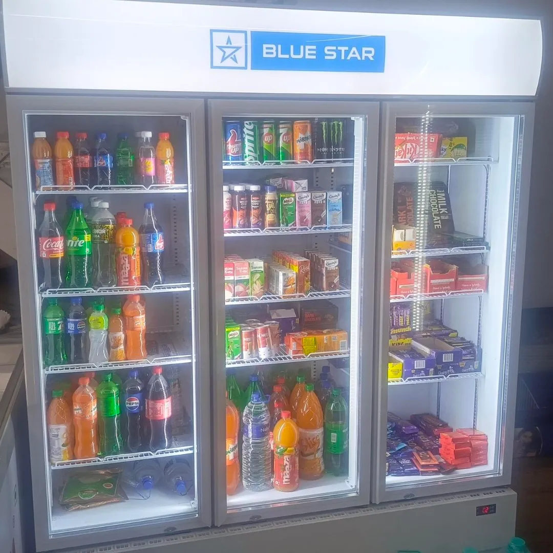 Blue Star Voltas Haier Daikin Elanpro Western Rockwell Deep Freezer Visi Cooler Dealer In Coimbatore