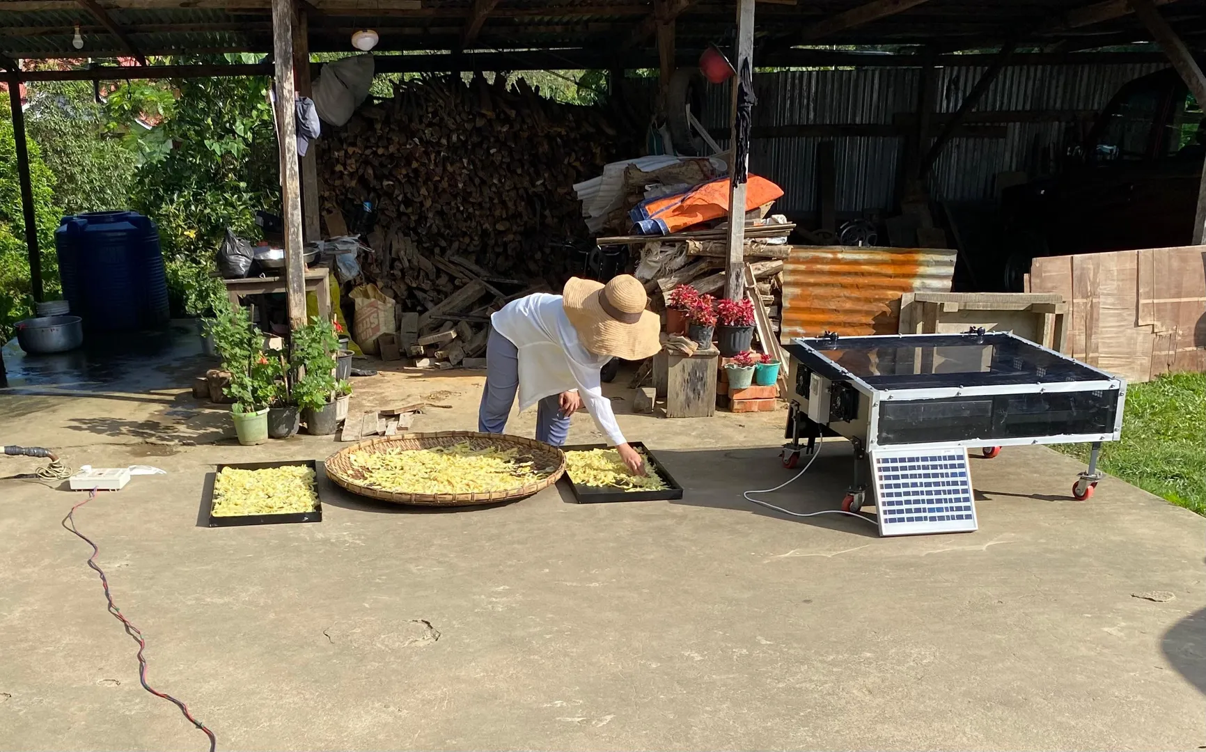 Solar Drying In Mizoram