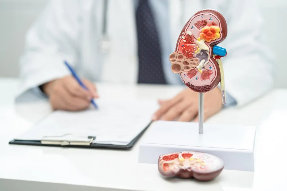 Advanced Urology and Kidney Care Hospital in Pune Focused Treatment for Urinary Health