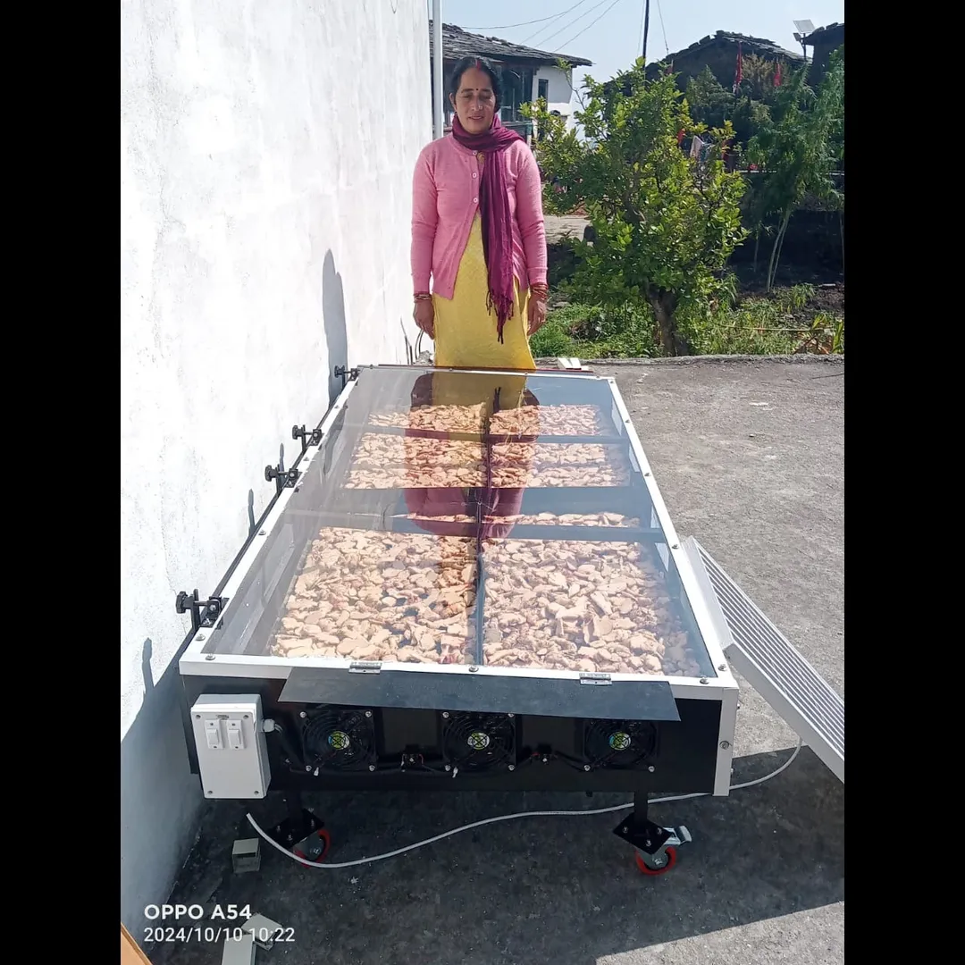 Solar Drying In Punjab