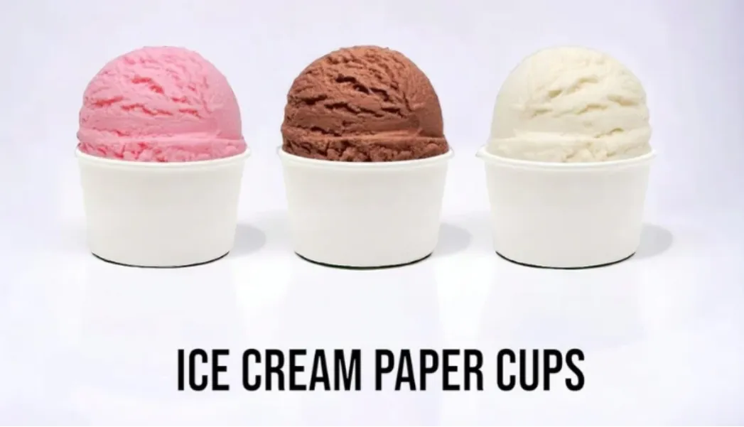 Paper Ice Cream Cup manufacturer