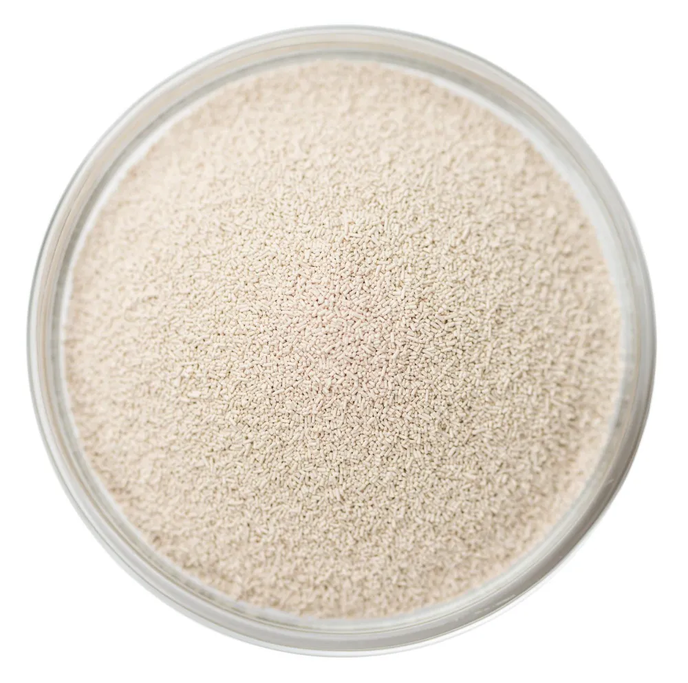 Dry Yeast in Aminjikarai for Reliable Dough Fermentation