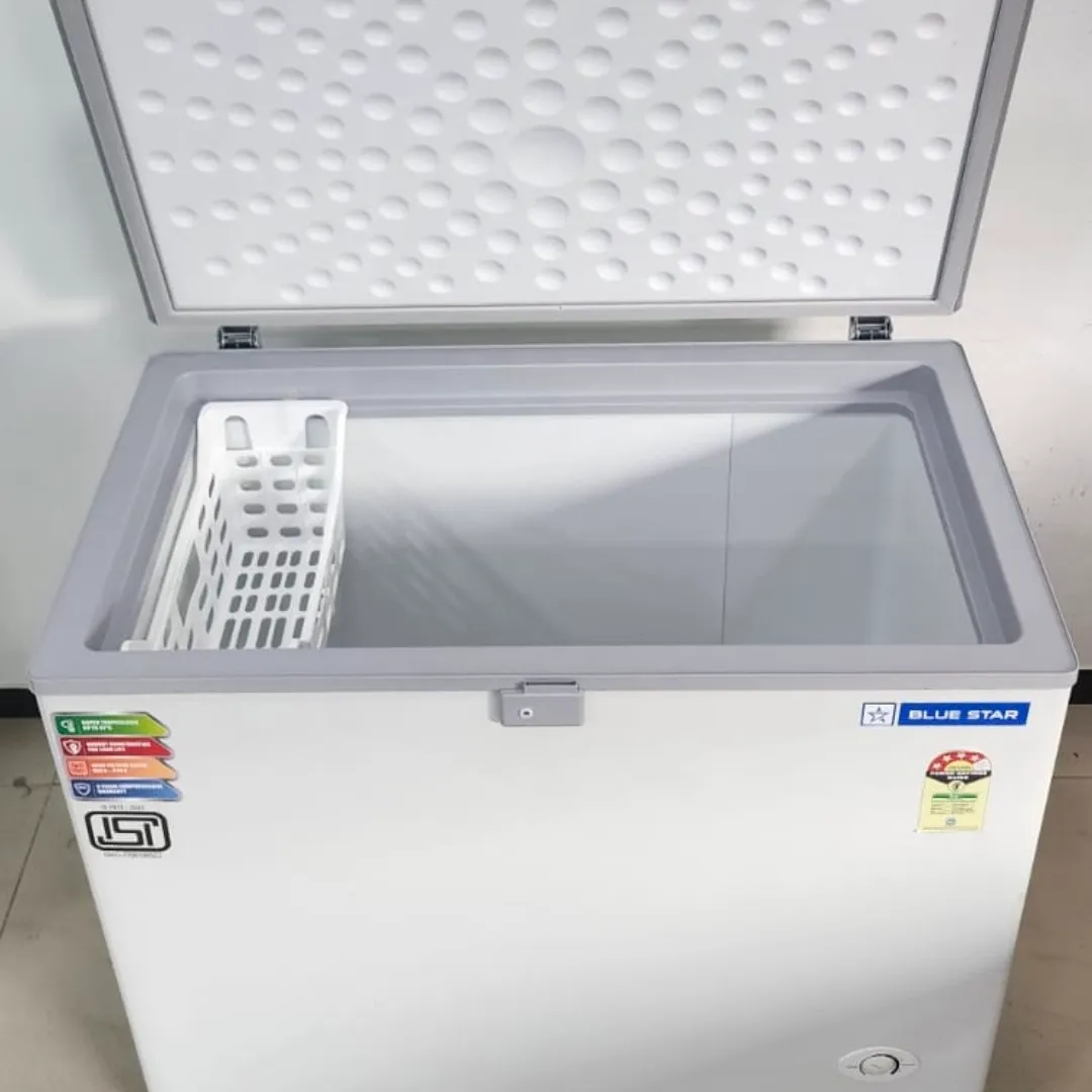 Bluestar Authorised Commercial Chest Freezer Dealers In Coimbatore
