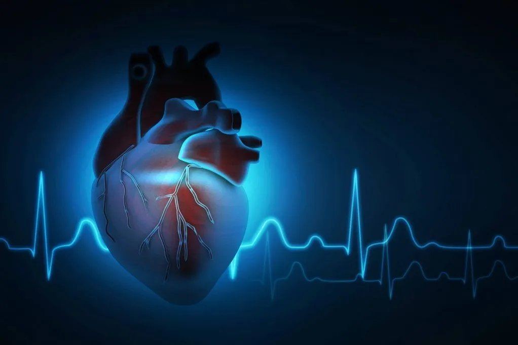 Platinum Hospital is a trusted healthcare center offering advanced cardiac care and surgical treatme...