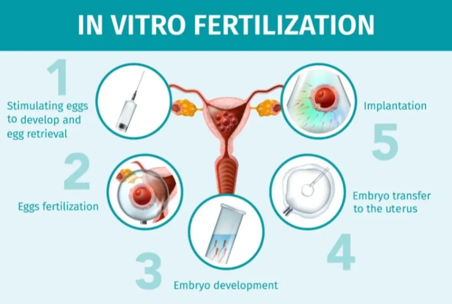 IVF Cost in Dadar – Balancing Expectations with Practical Planning