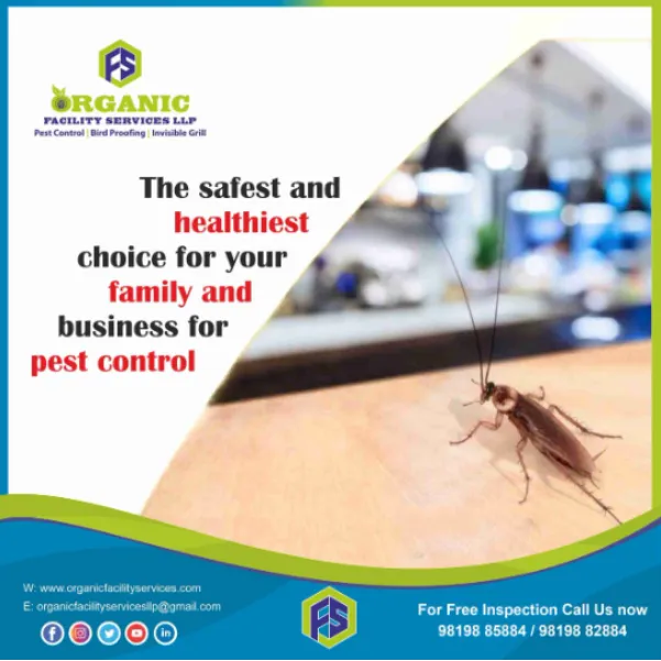 Cockroach Control Services in Borivali for Maintaining Kitchen Hygiene Without Hidden Infestation