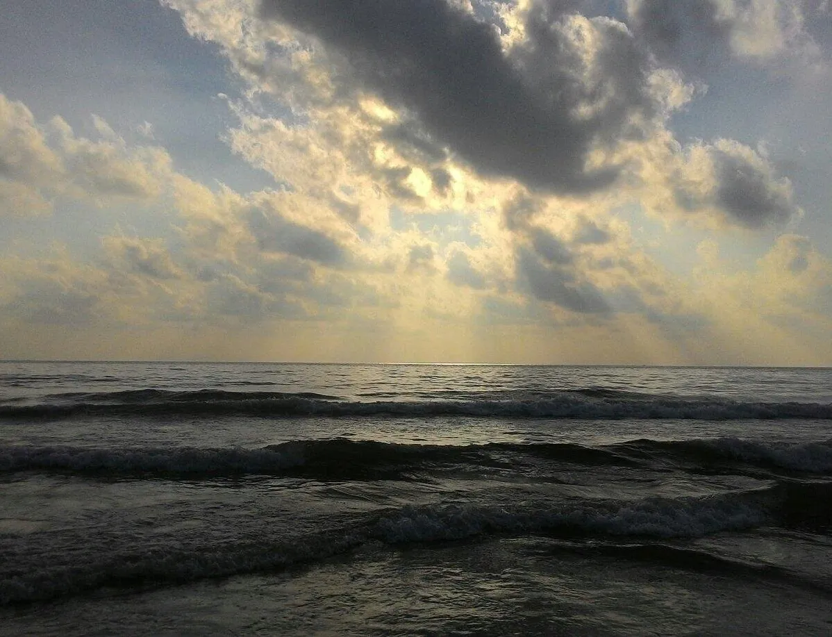 Places To Visit In Chennai
Elliot's Beach
Elliot's Beach, Chennai Overview
Elliot's Beach aka "Be...