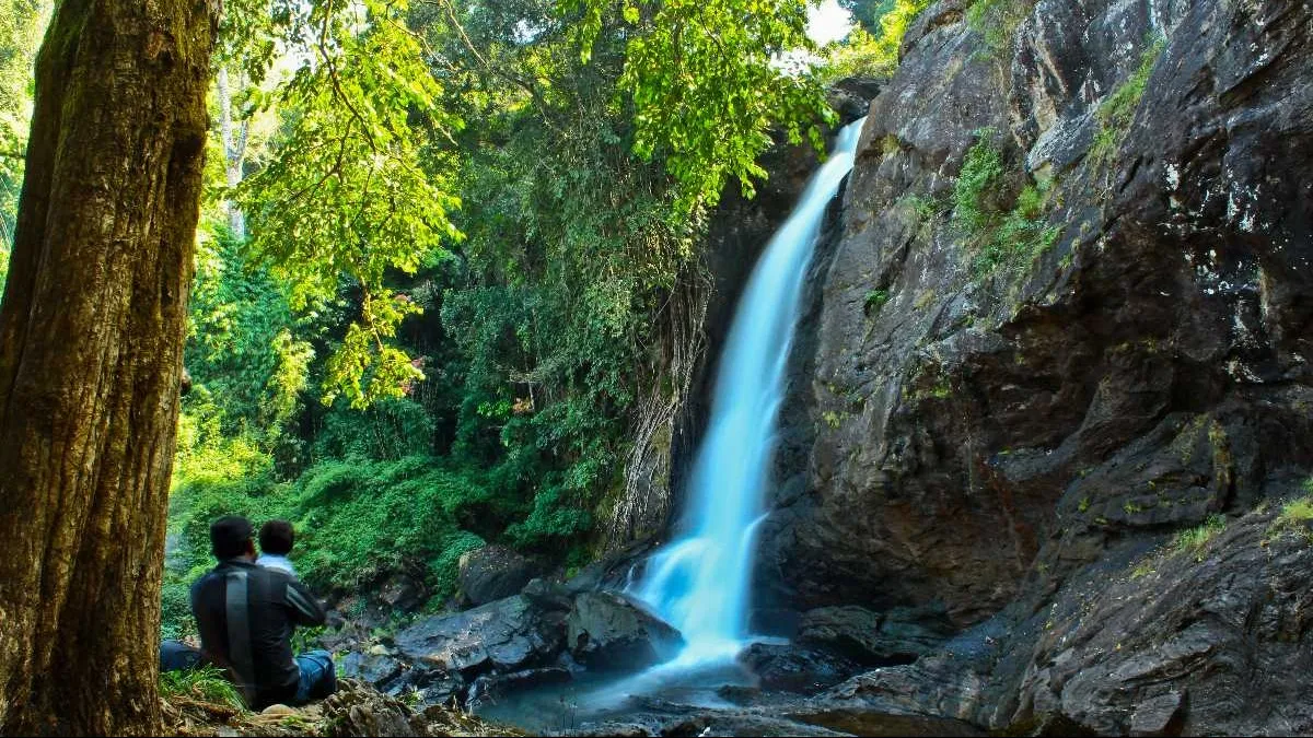 Places To Visit In Wayanad
Edakkal Caves
Edakkal Caves, Wayanad Overview
Famous for its exquisite...