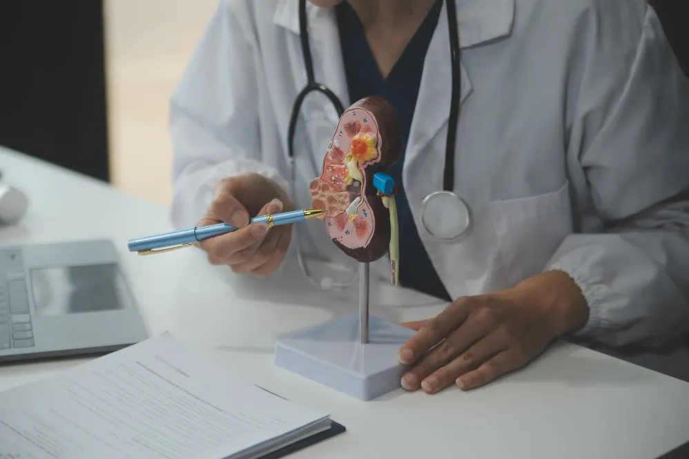 Kidney Cancer Diagnosis and Treatment in Dombivli Early Evaluation for Better Control