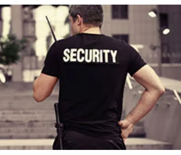 Top Security Companies in Mumbai – Choosing the Right Fit for Your Space