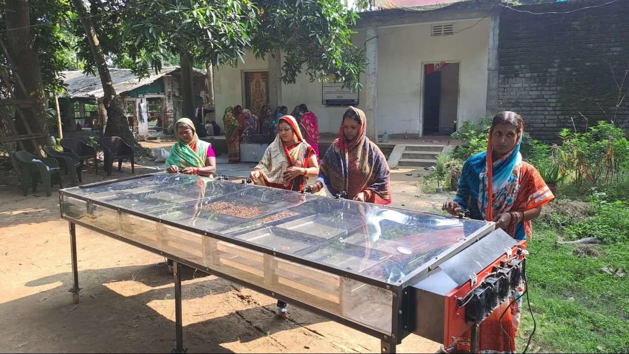 Solar Drying In Rajasthan