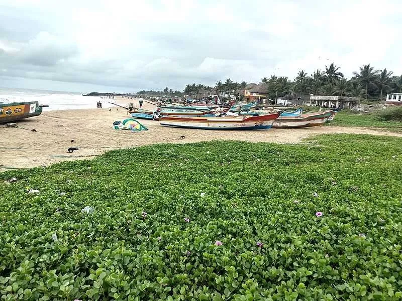 Places To Visit In Pondicherry
Serenity Beach
Serenity Beach, Pondicherry Overview
Located at a d...