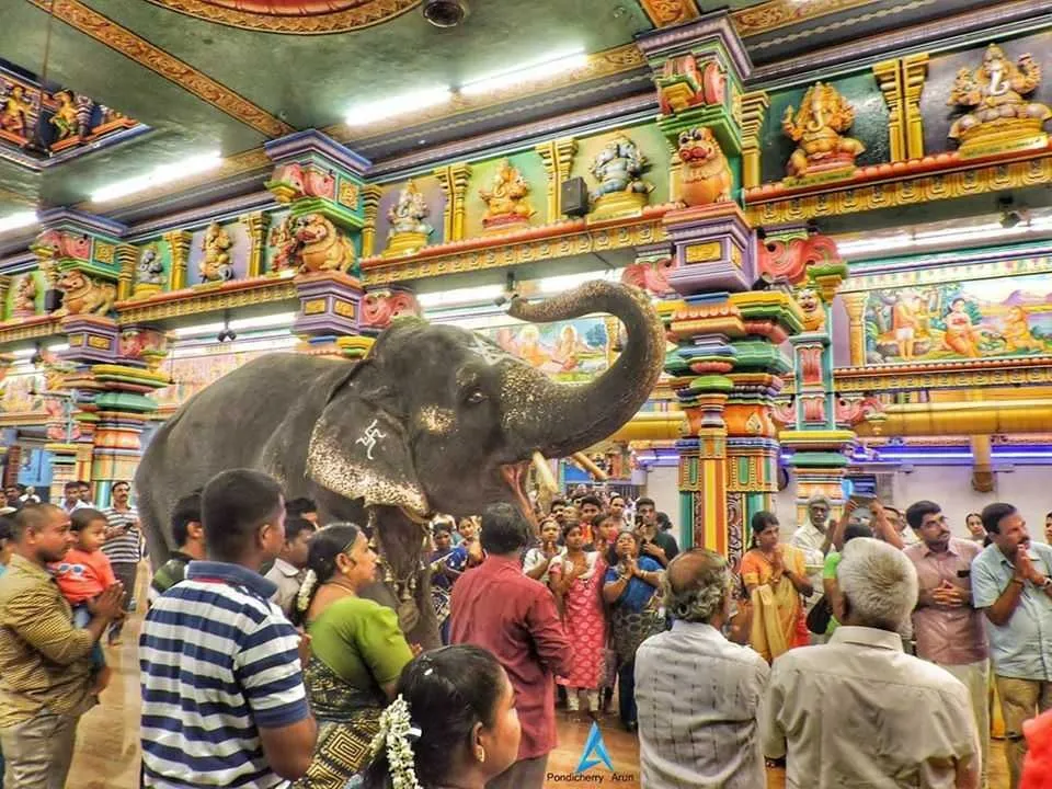 Places To Visit In Pondicherry
Arulmigu Manakula Vinayagar Devasthanam
Sri Manakula Vinayagar Temp...