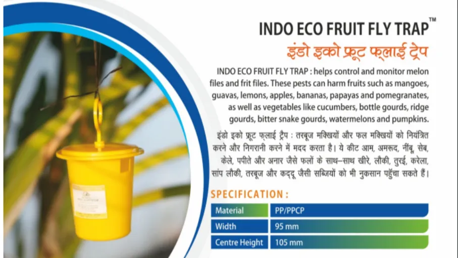 INDO ECO FRUIT FLY TRAP