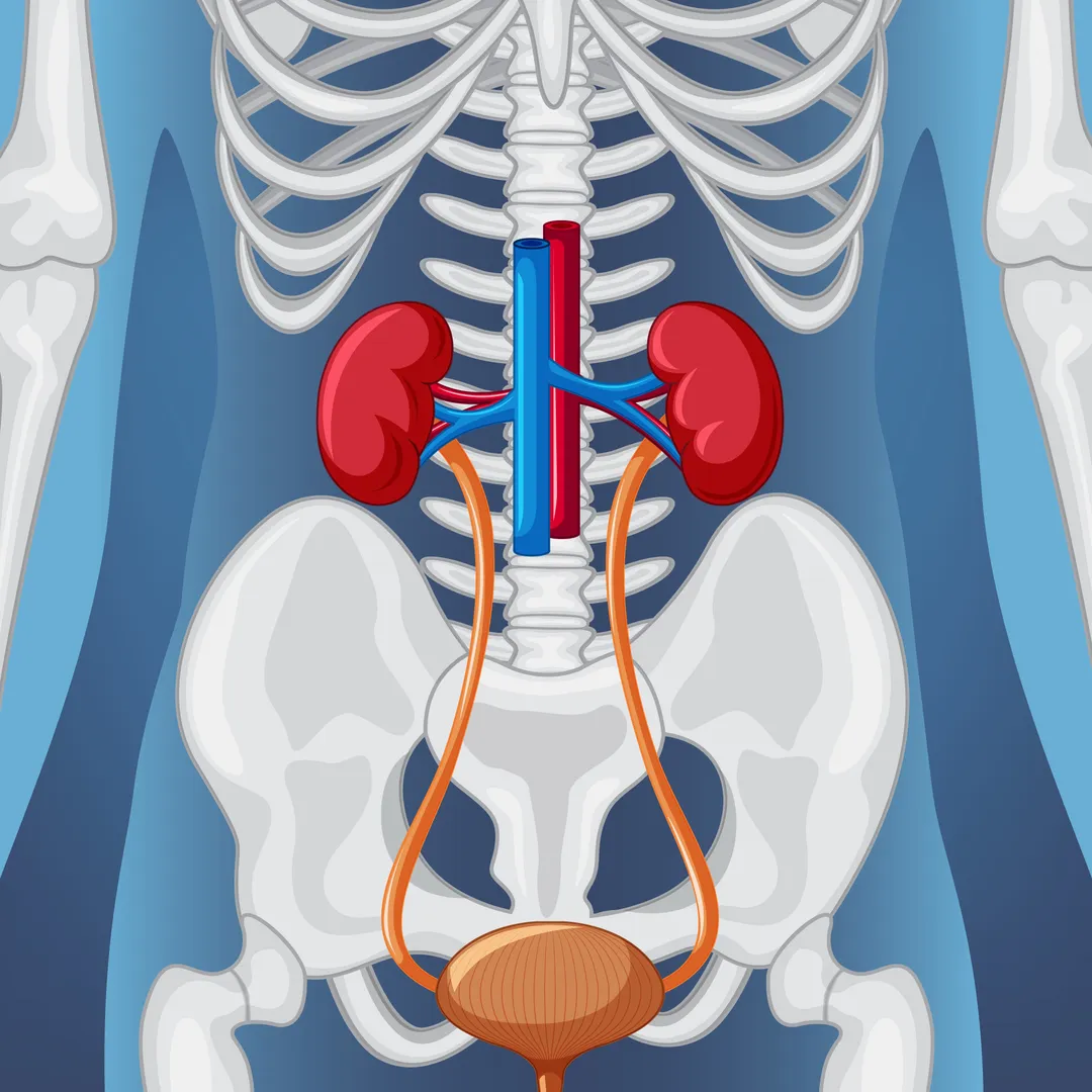 Best Urology Hospital in Mansarovar – Swastik Hospital and Research Center