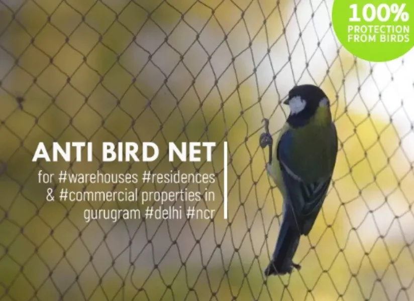 Anti Bird Net Manufacturer and Supplier in Gurgaon for Cleaner and Safer Balconies