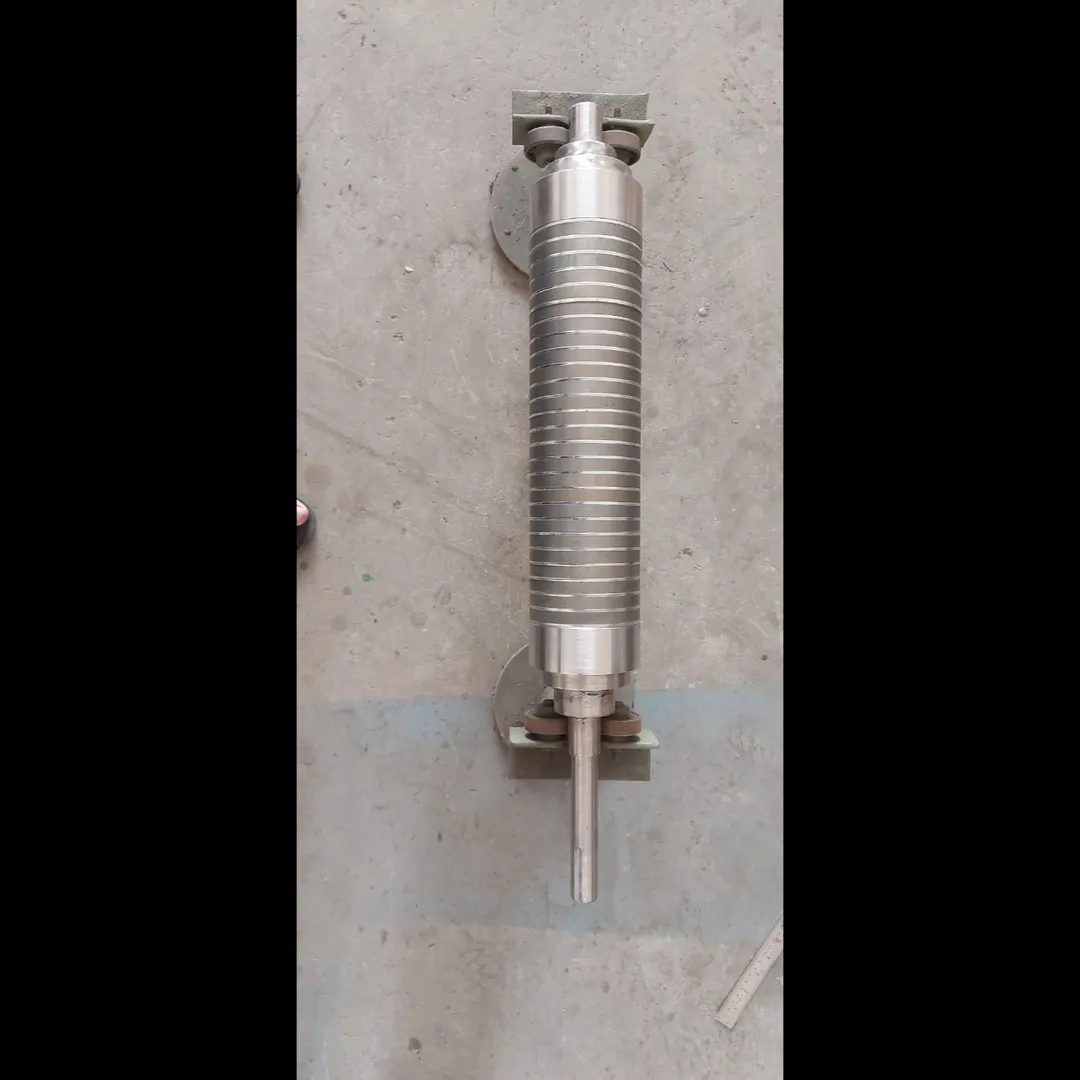 roller magnetic Manufacturer in Rajasthan,