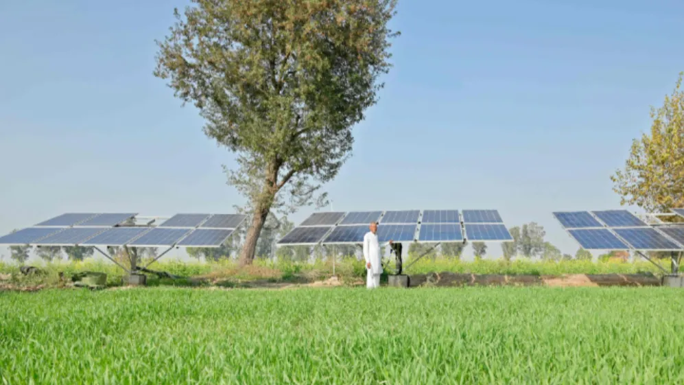 Solar Pump in Madurai for Reliable Water Supply