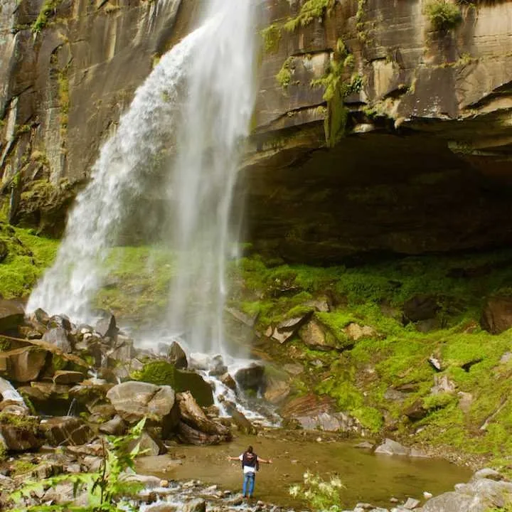Places To Visit In Manali
Jogini Waterfall
Jogini Waterfall, Manali Overview
A waterfall reached ...