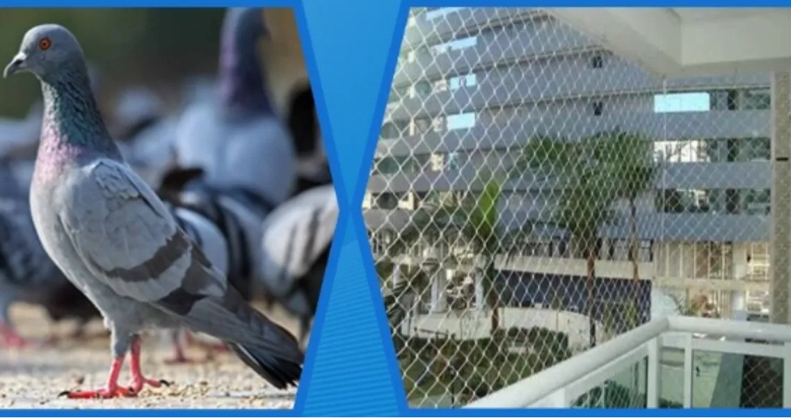 Pigeon Net Manufacturer and Supplier in Gurgaon for Long Lasting Balcony Protection