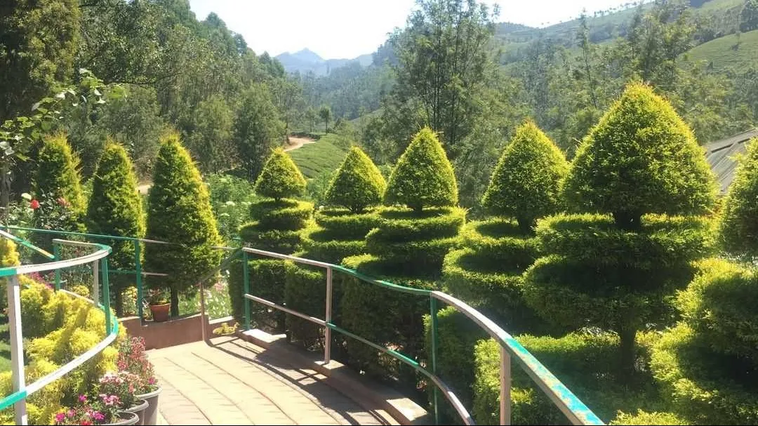 Places To Visit In Munnar
Eravikulam National Park
Eravikulam National Park, Munnar Overview
Loca...
