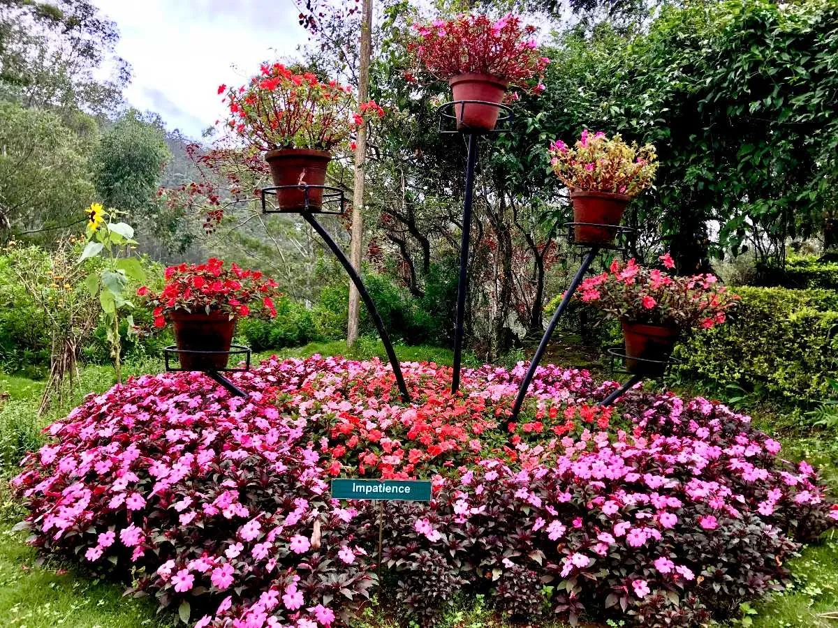 Places To Visit In Munnar
Rose Garden Munnar
Rose Garden, Munnar Overview
The Rose Gardens of Mun...