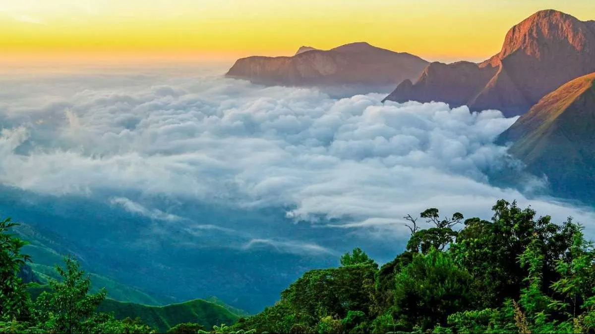 Places To Visit In Munnar
Photo Point
Photo Point, Munnar Overview
Photo Point is this picturesqu...
