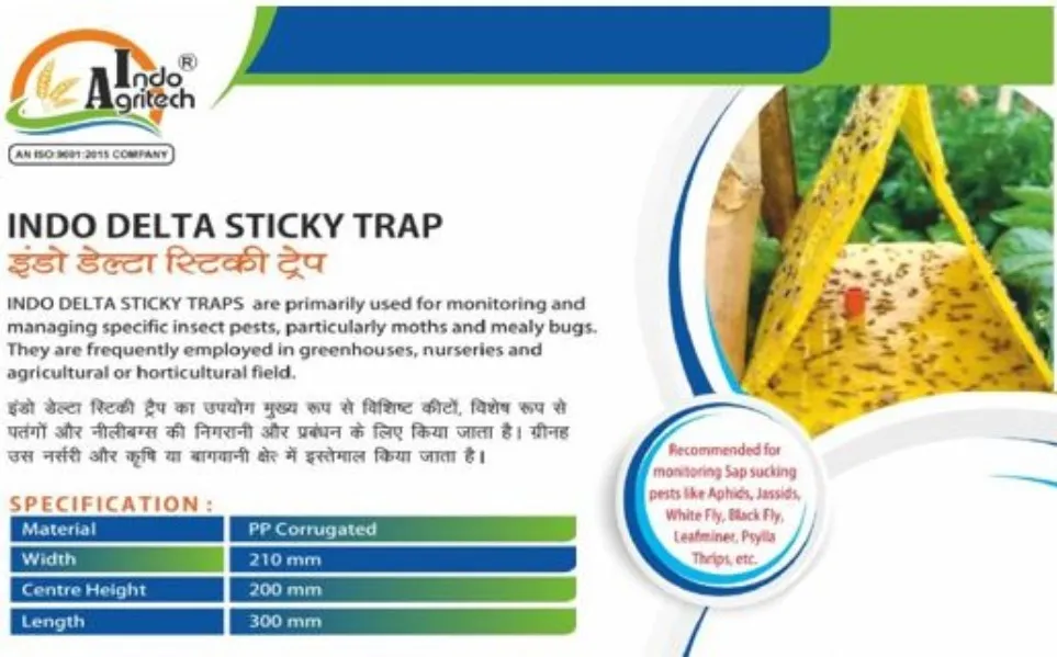 Indo Delta Sticky Trap (with Pheromone Lure)
