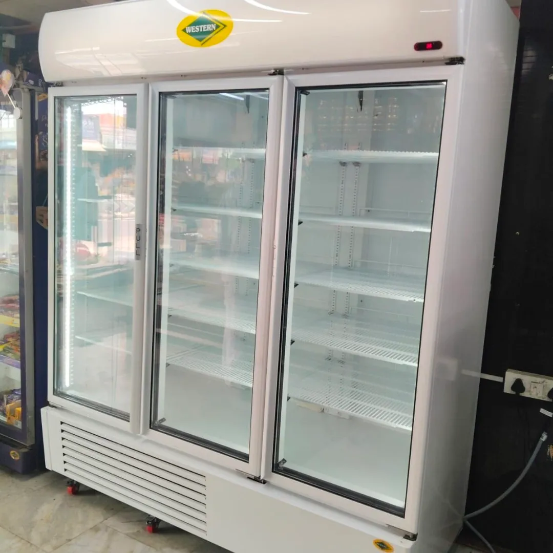 Blue Star Voltas Haier Daikin Elanpro Western Rockwell Deep Freezer Visi Cooler Dealers Ndv Cooling