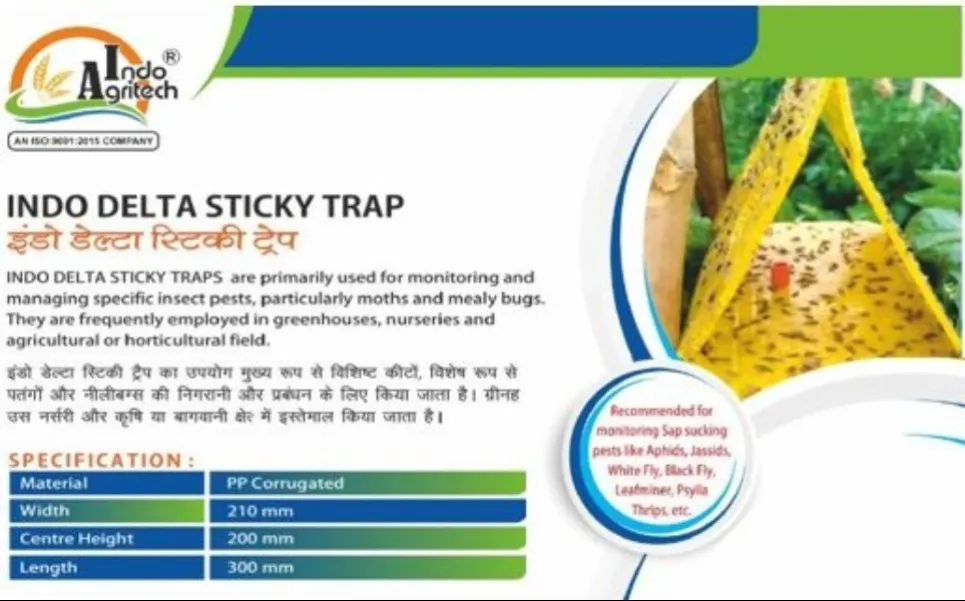 Indo Delta Sticky Trap – Sticky Trap with Pheromone Lure to Protect Your Crops by Indo Agritech Pvt....