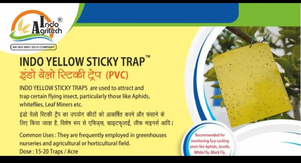 INDO YELLOW STICKY TRAP (For Fling Insect like APHIDS, WHITEFLIES, LEAF MINERS, ETC.)