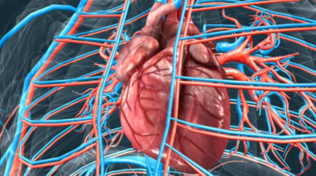 Endovascular Procedures in Pune – Advanced Minimally Invasive Vascular Care