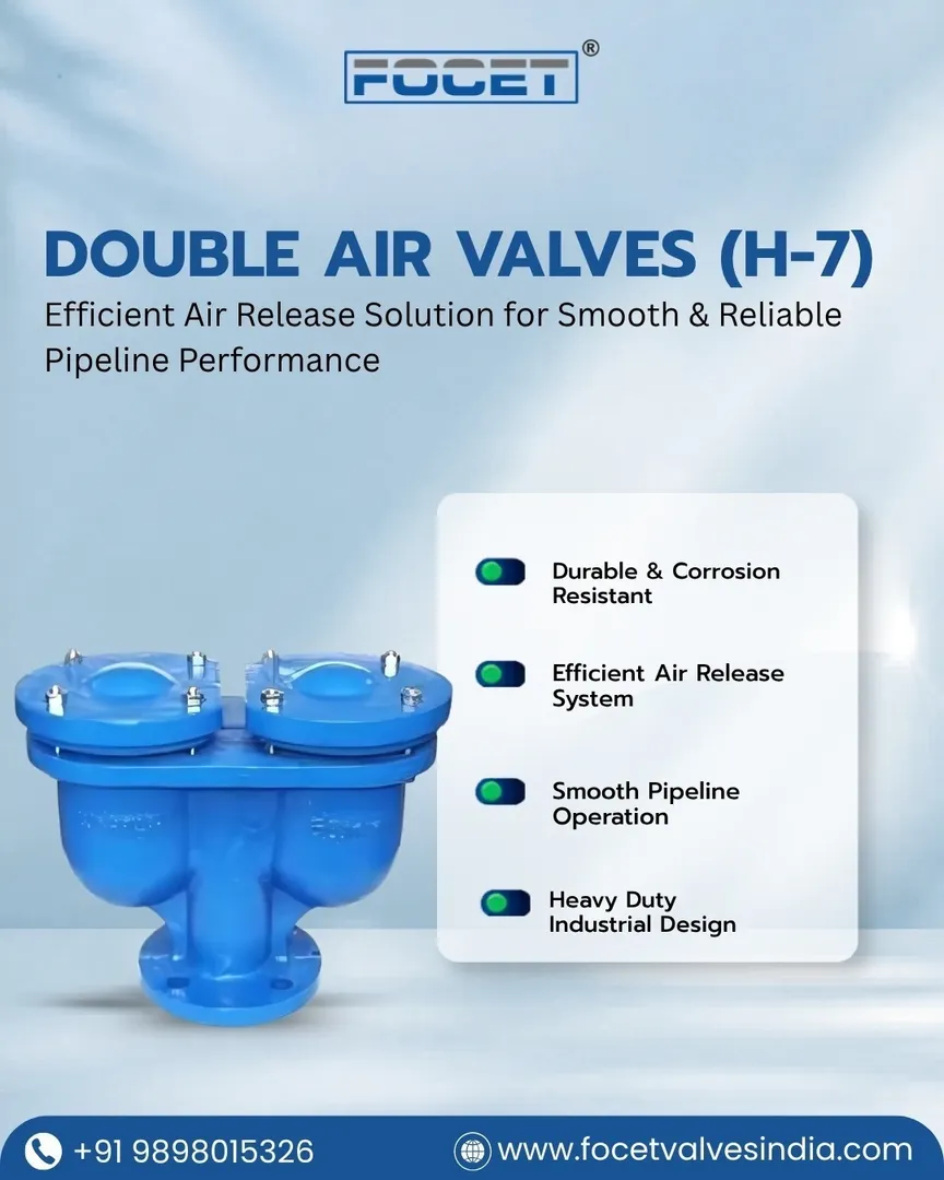 Double Air Valve Manufacturer in India
