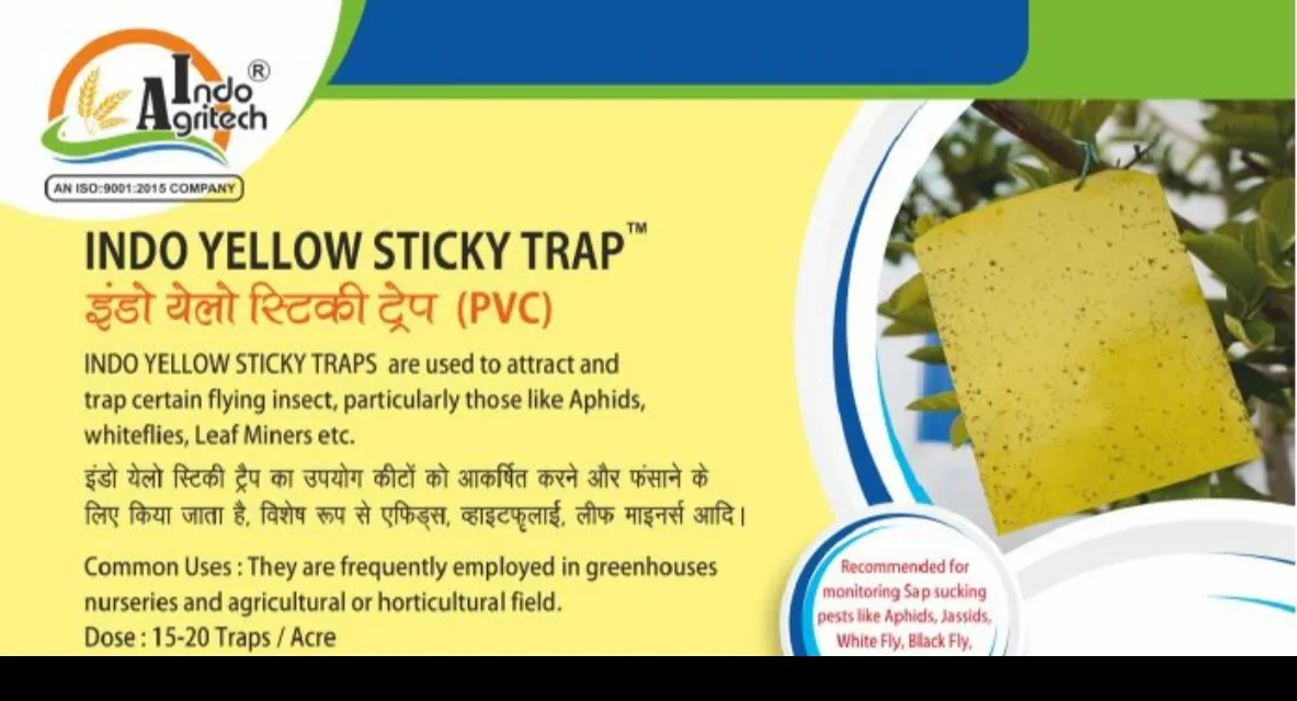 INDO YELLOW STICKY TRAP π± Reliable Insect Pest Monitoring Solution for Indian Farmers π±
