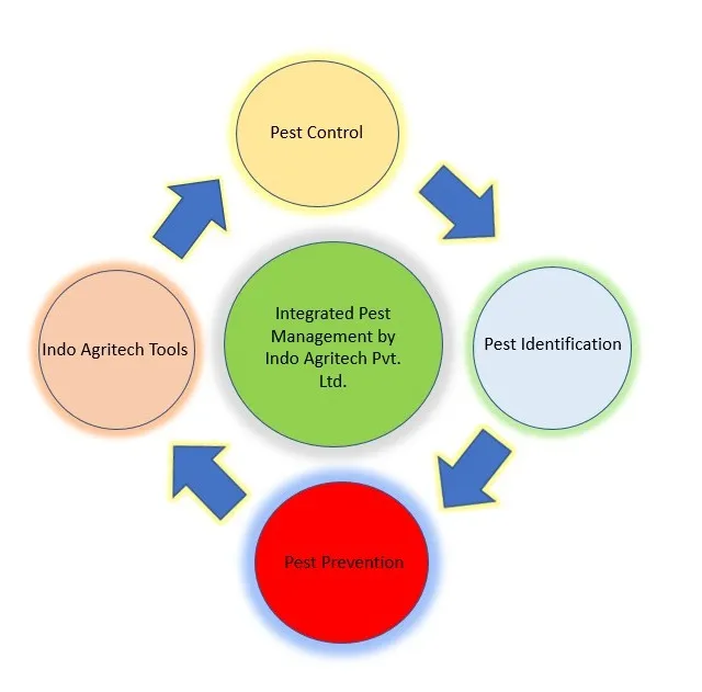 π± Integrated Pest Management (IPM) Solutions in India by Indo Agritech Private Limited π±