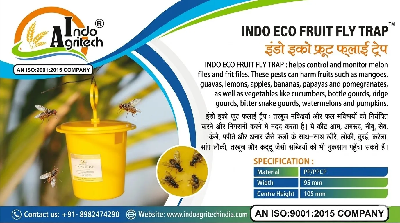 Indo Eco Fruit Fly Trap