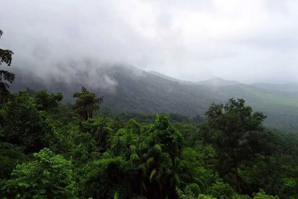 Places To Visit In Goa
Bhagwan Mahavir Wildlife Sanctuary
Bhagwan Mahavir Wildlife Sanctuary, Goa ...