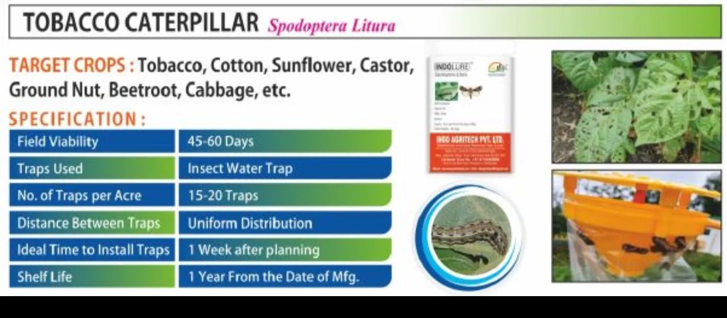 Protect Your Crops Naturally with INDO LURE™ (Spodoptera Litura) by Indo Agritech Pvt. Ltd.
