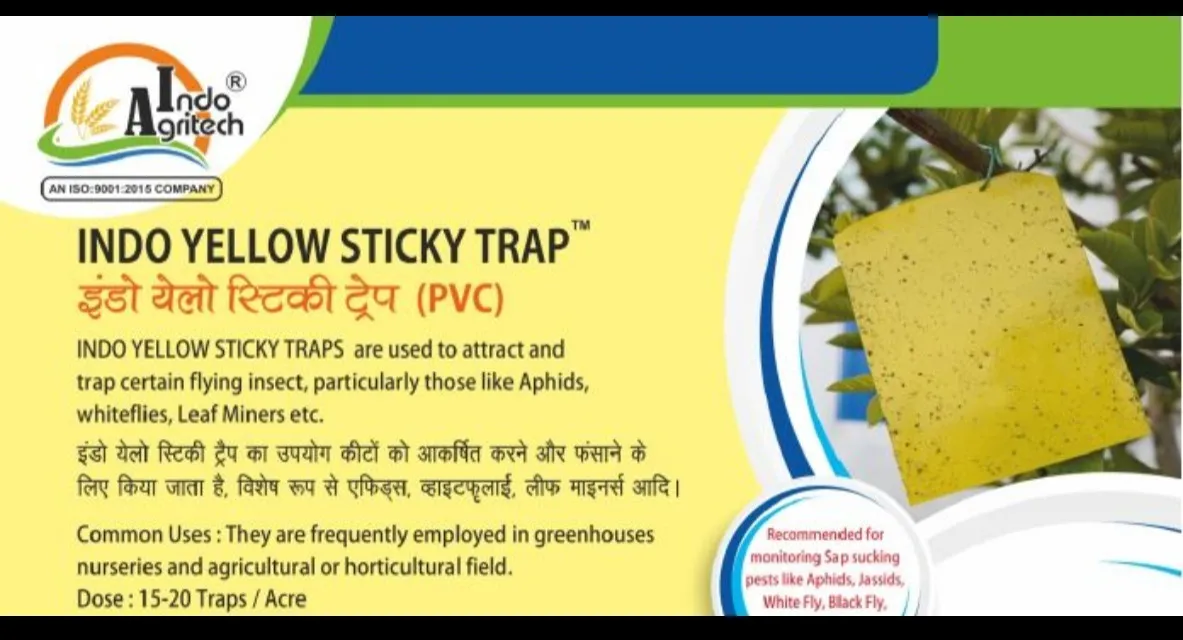 INDO YELLOW STICKY TRAP (For Flying Insect like APHIDS, WHITEFLIES, LEAF MINERS, ETC.)