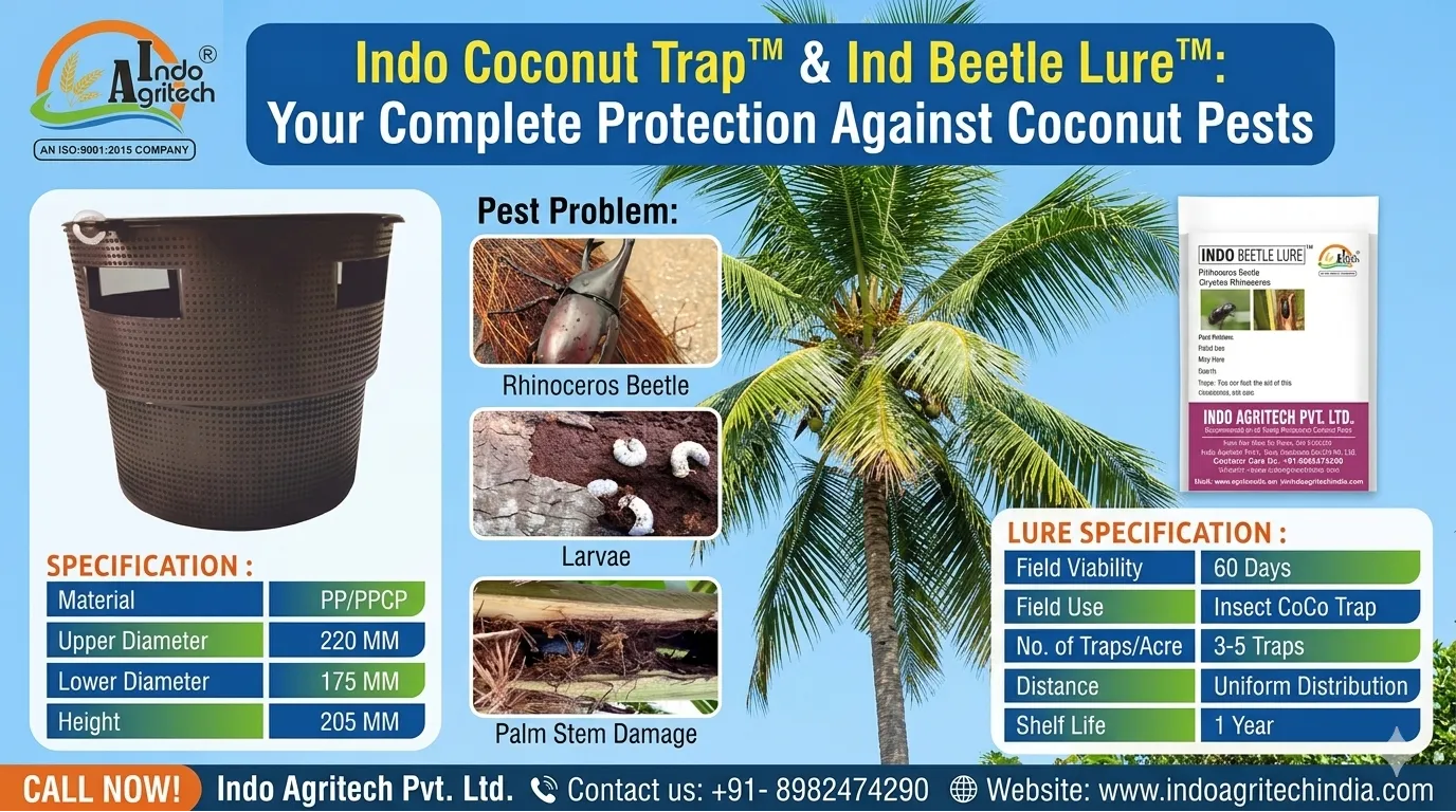 INDO COCONUT TRAP & INDO BEETLE LURE (Coconut, Areca Nuts, Dates Oil Palms, Etc.)